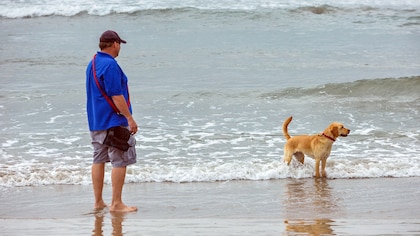 Mientras paseaba a su perro en la playa halló unos pozos insólitos y descubrió algo inesperado