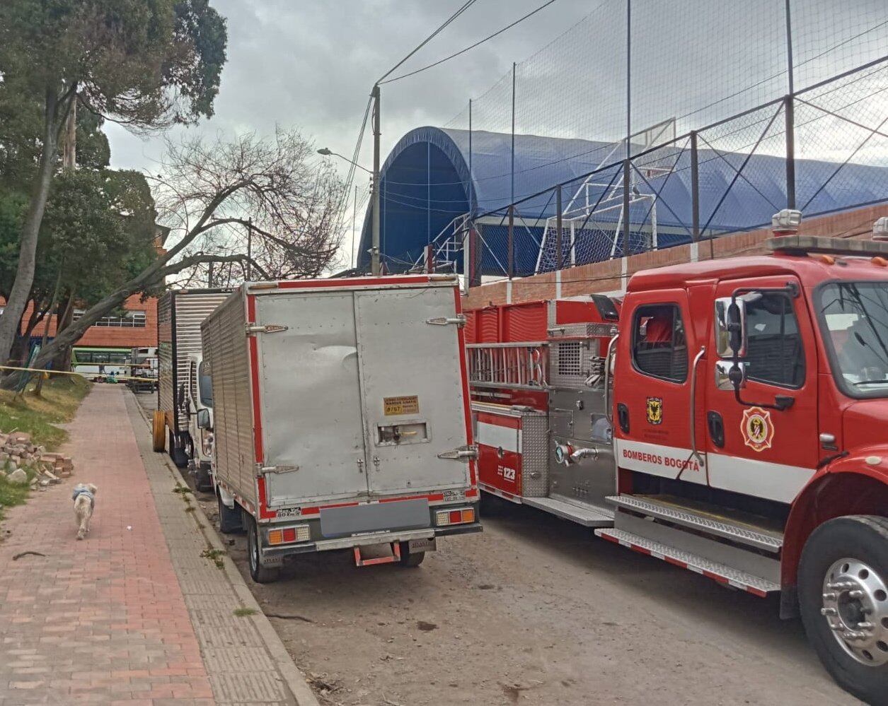 Los bomberos ya realizan el trabajo de corte y tronzado del árbol para removerlo - crédito @BogotaTransito/X