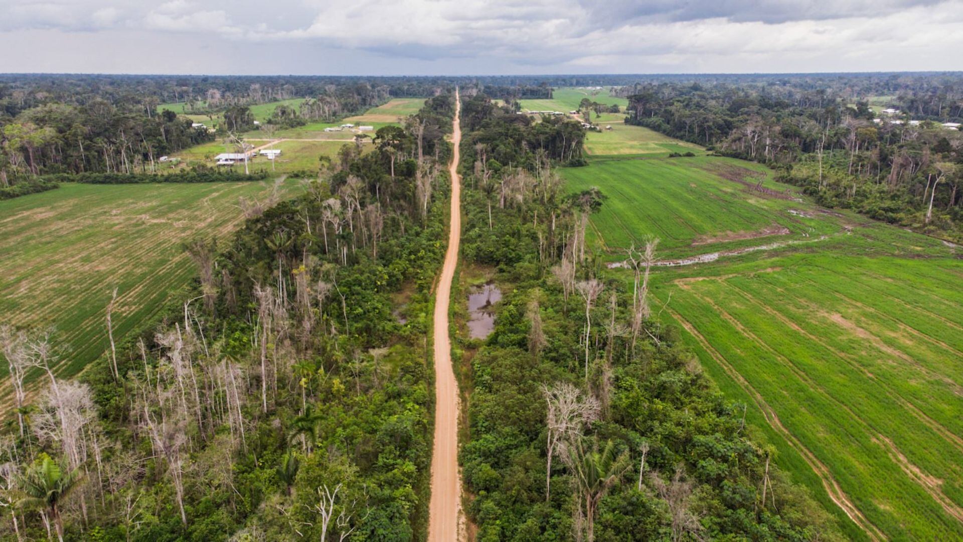 Ley Antiforestal