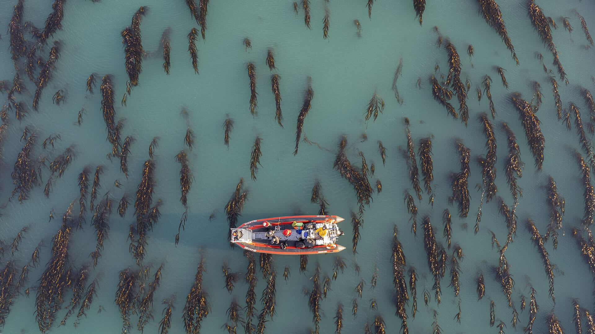 Patagonian Eco film Fest