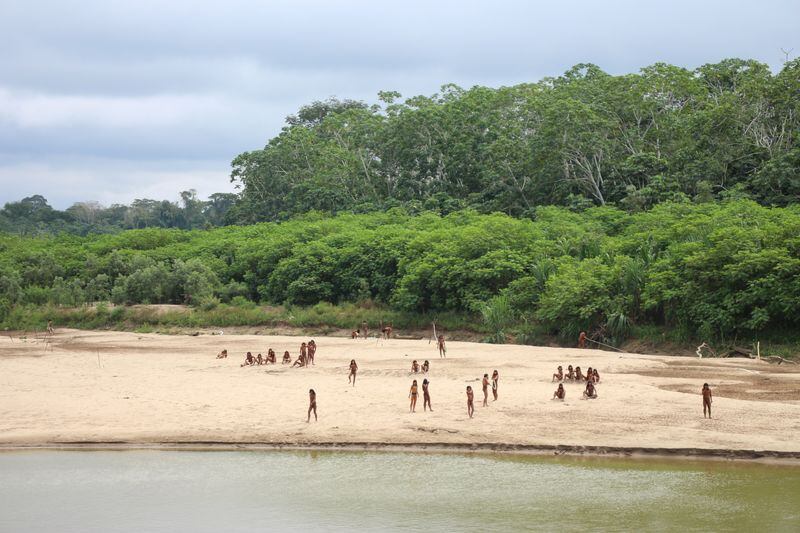 Los Mashco Piro son uno de los pueblos seminómades que habitan el territorio peruano. Gran parte de la población Mashco Piro vive en situación de aislamiento y se desplaza entre las Reserva Indígena Mashco Piro, Reserva Territorial Madre de Dios y Reserva Indígena Murunahua, creadas entre los años 1997 y 2002. Foto: Reuters