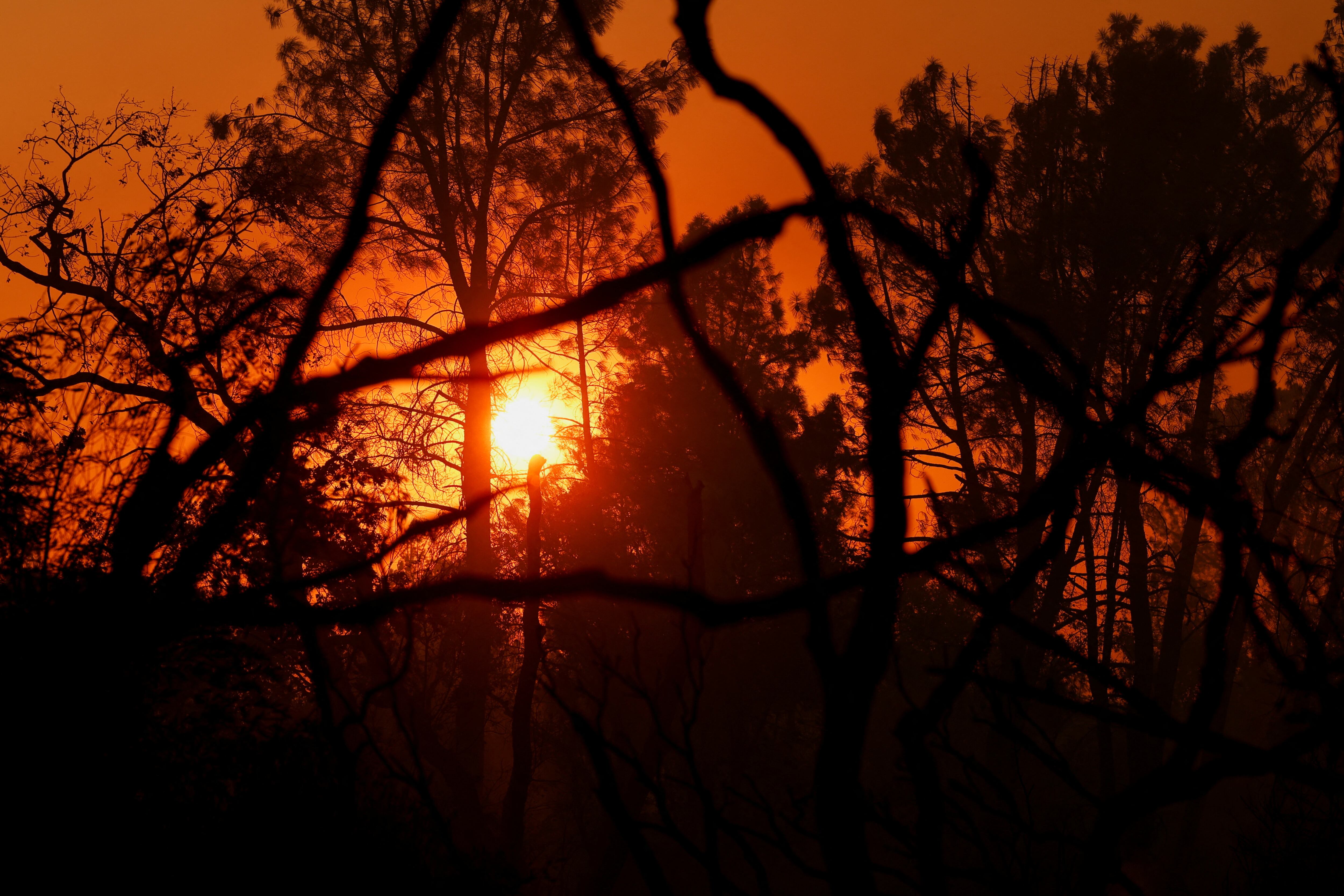 El fuego, conocido como Park Fire, obligó a evacuaciones masivas en los condados de Butte y Tehama. (REUTERS/Fred Greaves)