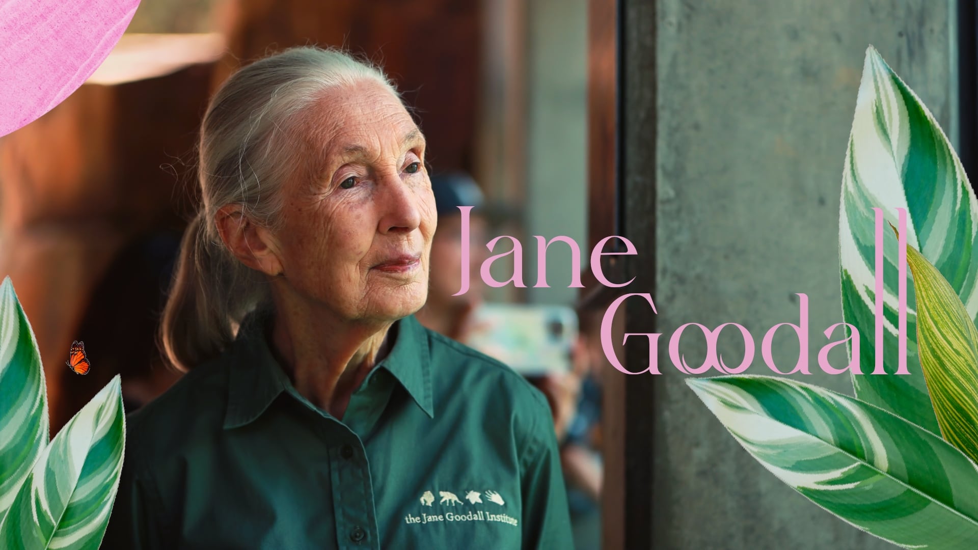 Jane Goodall