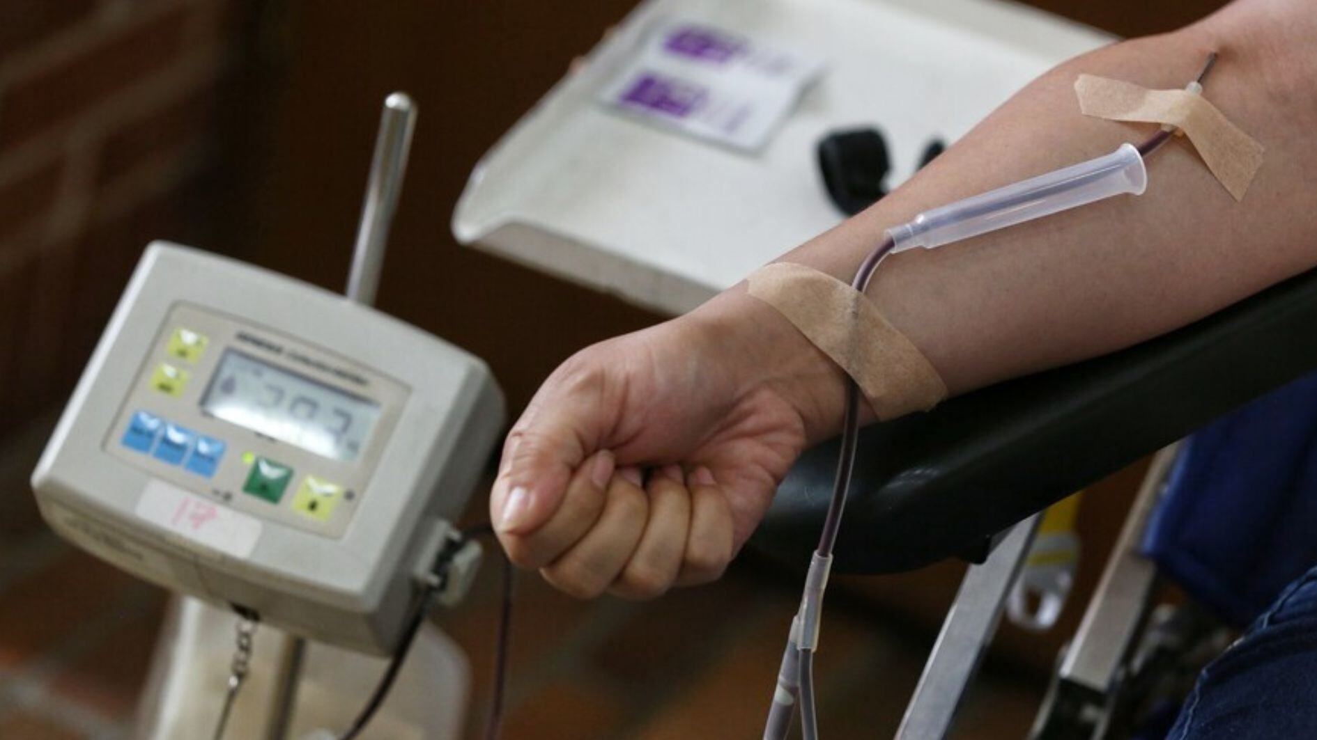 Donar sangre ayuda a mejorar el proceso de circulación permitiendo mayor oxigenación a los tejidos del cuerpo - crédito Camila Díaz/Colprensa