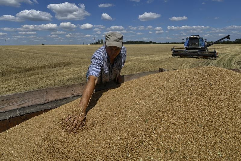 Agricultores ucranianos son obligados a vender sus cosechas a bajos precios o enfrentan el robo de sus productos. (REUTERS/Stringer)