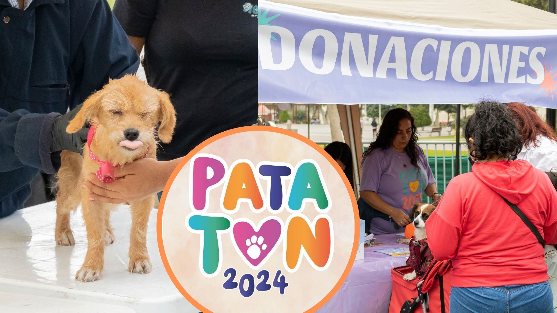 Patatón 2024: evento benéfico para animales abandonados se realizará este domingo 7 de julio con show en vivo y sorteos