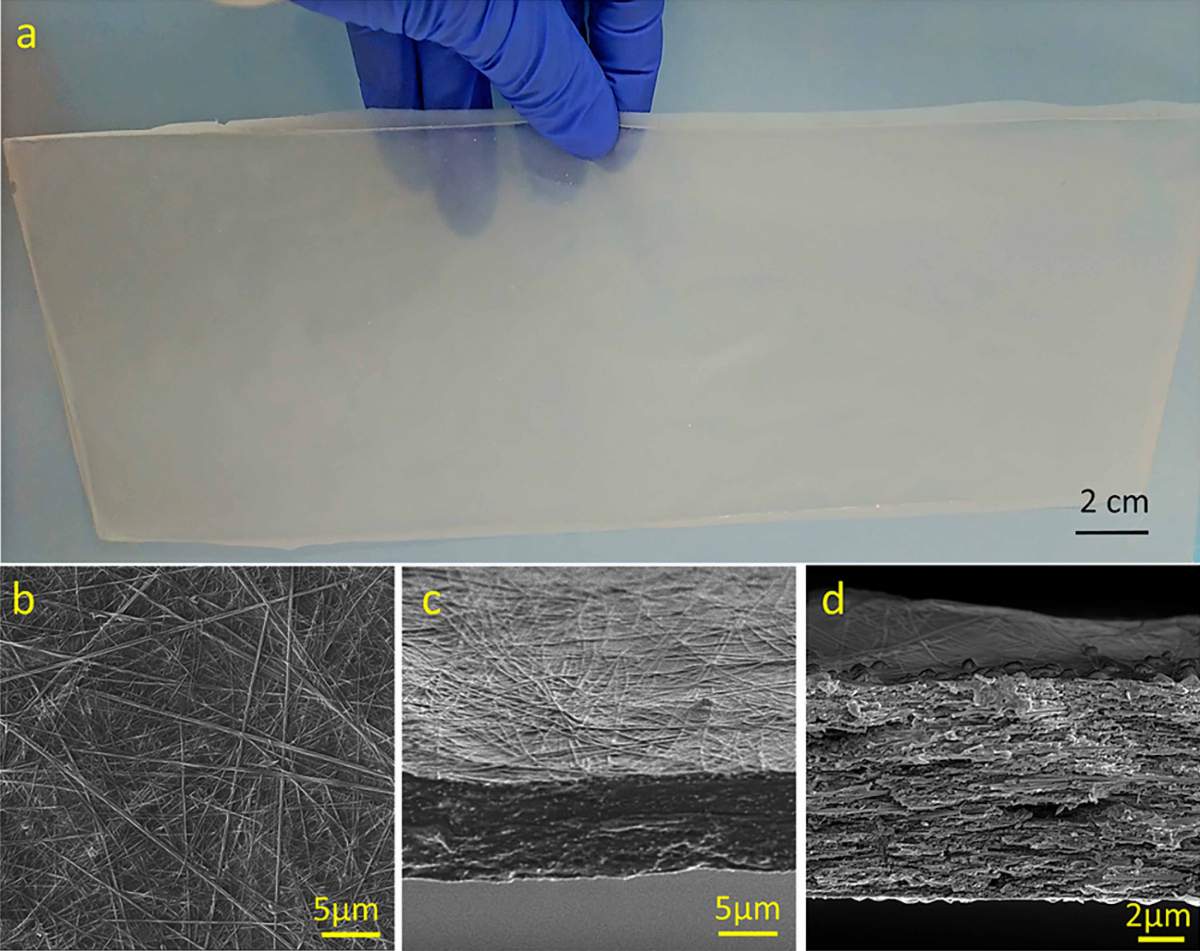 Arriba: Una lámina del nuevo plástico compuesto biodegradable creado en un laboratorio del Instituto Weizmann. Abajo: Imágenes de microscopio electrónico que muestran el material desde arriba (izquierda), en sección transversal (centro) y en un primer plano de la sección transversal (derecha)