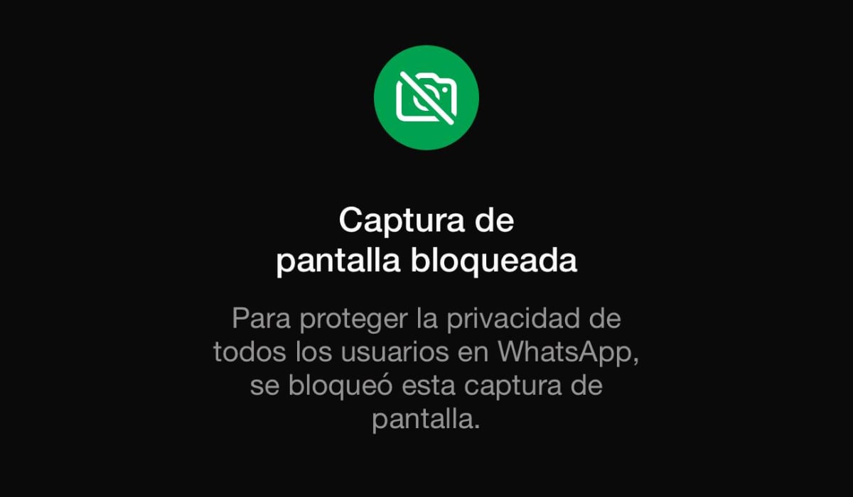 La aplicación está desarrollando una función para no permitir las capturas en fotos de perfil para proteger a los usuarios. (Infobae)