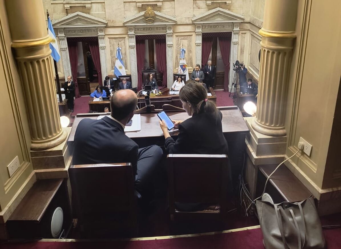 Debate Ley Bases en el Senado - 12.06.2024