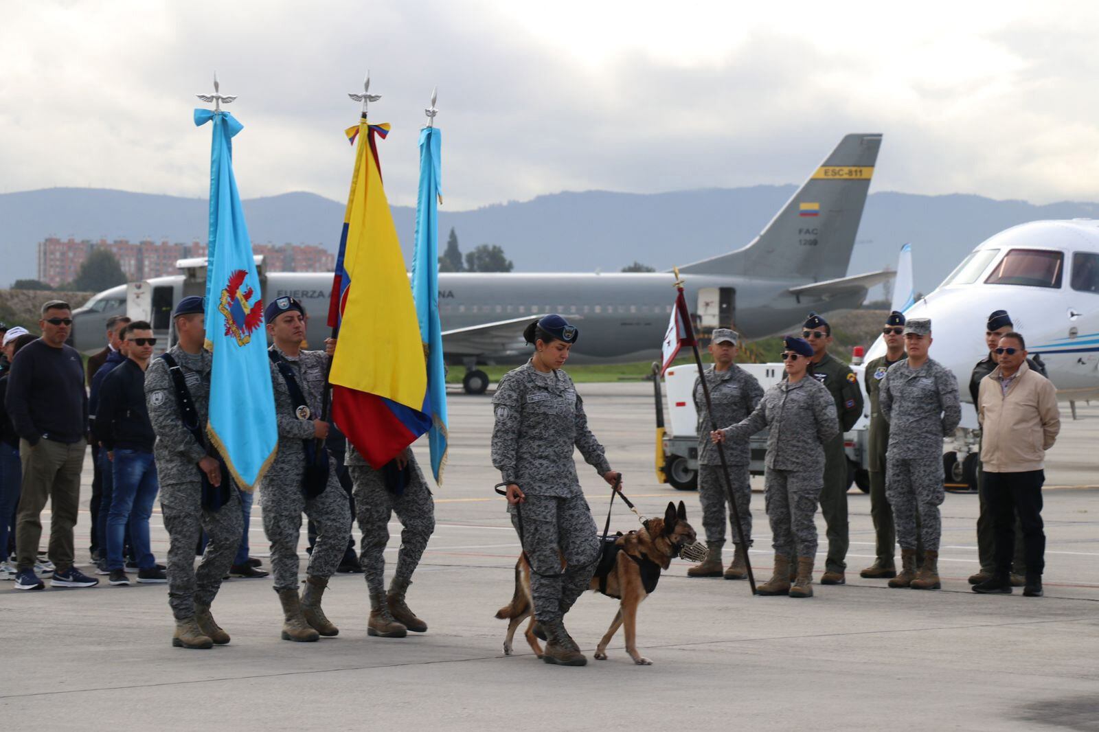 Perros, razas de perros, mascotas, animales, Lara, Colombia, héroes de guerra