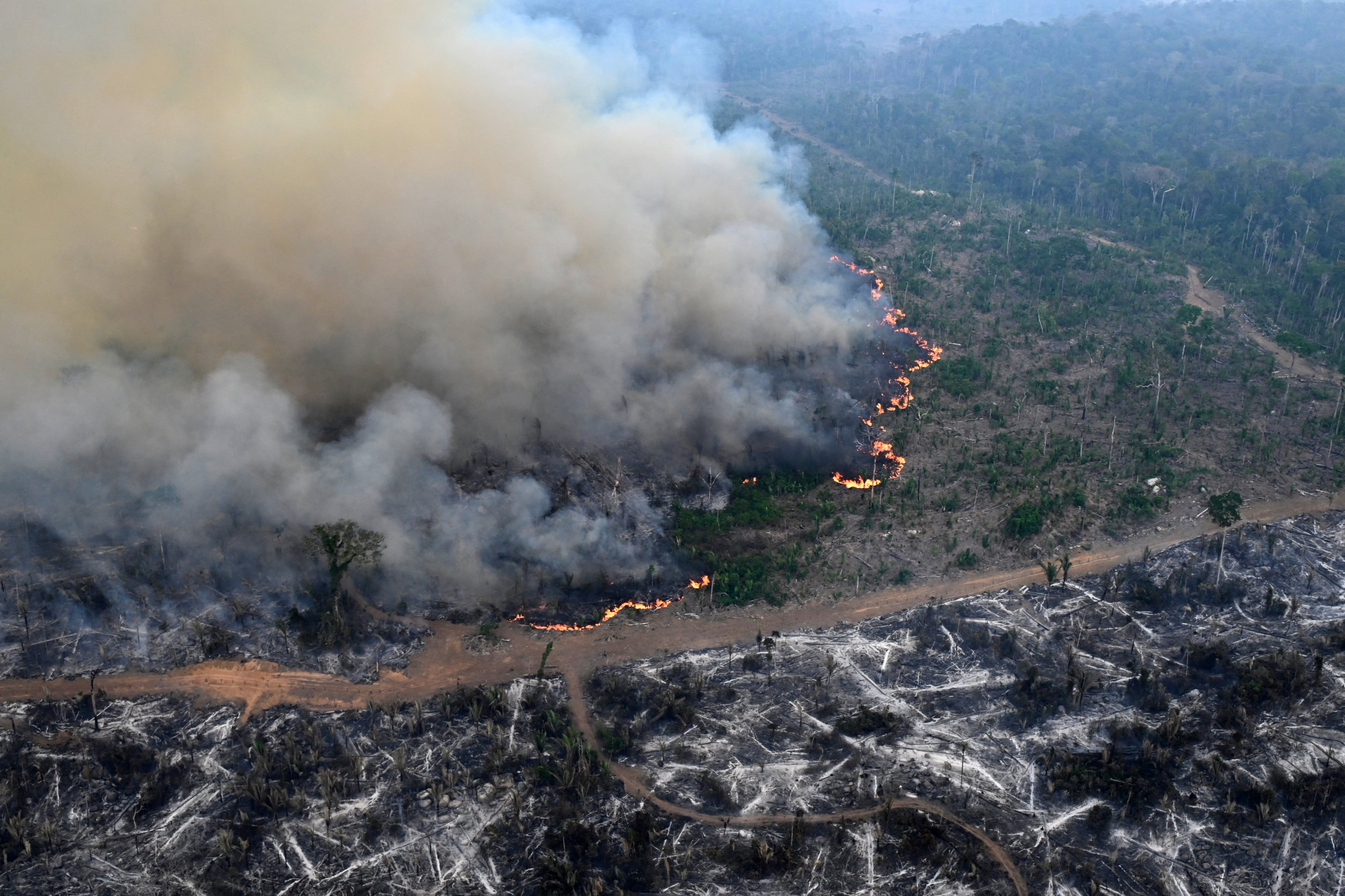 incendios en brasil