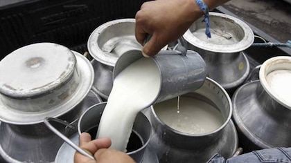Sigue la crisis: lecheros en Cundinamarca también están tirando su producto porque no les deja ganancias, piden ayuda al Gobierno