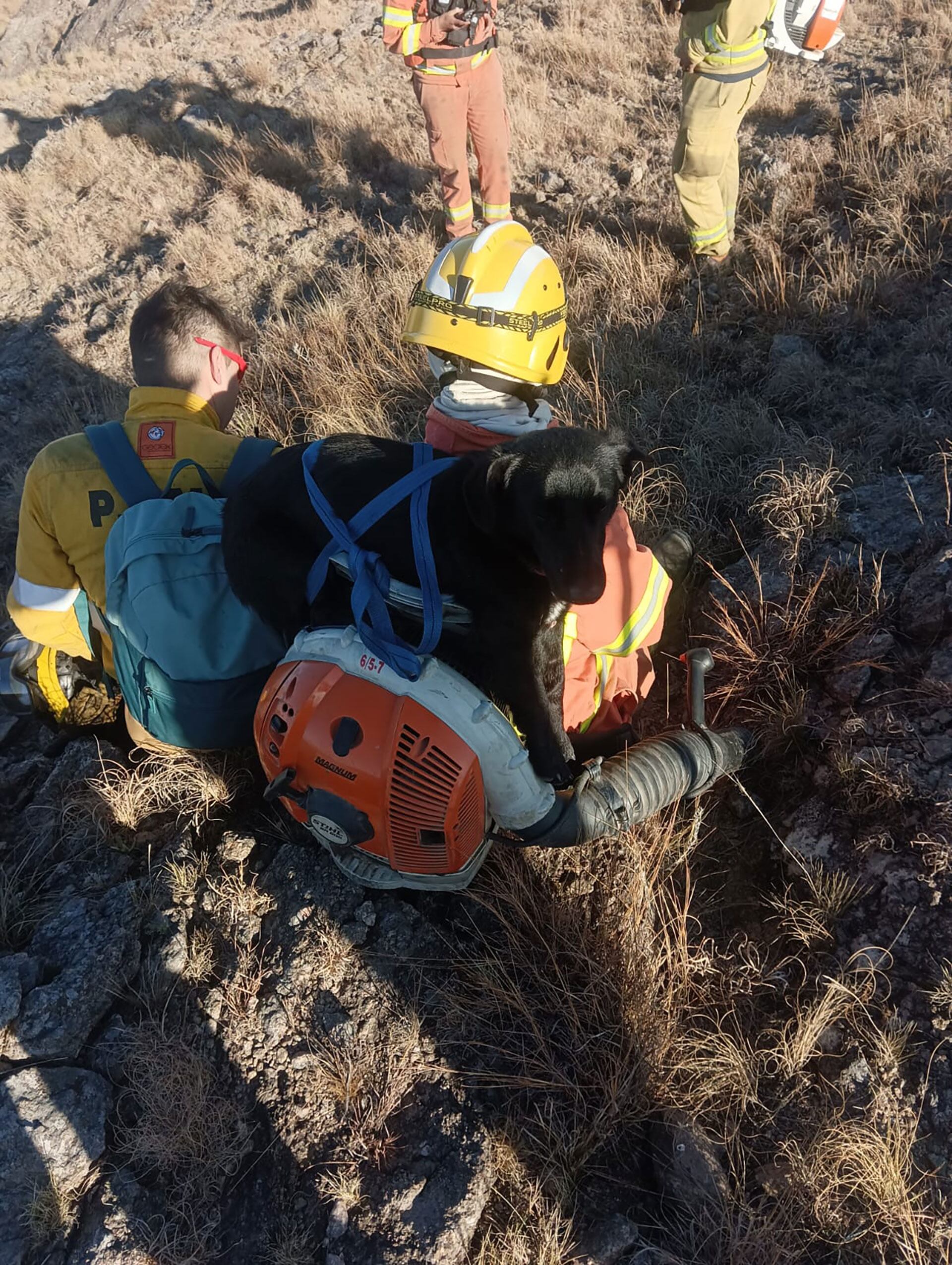 bomberos rescataron a Encendedor