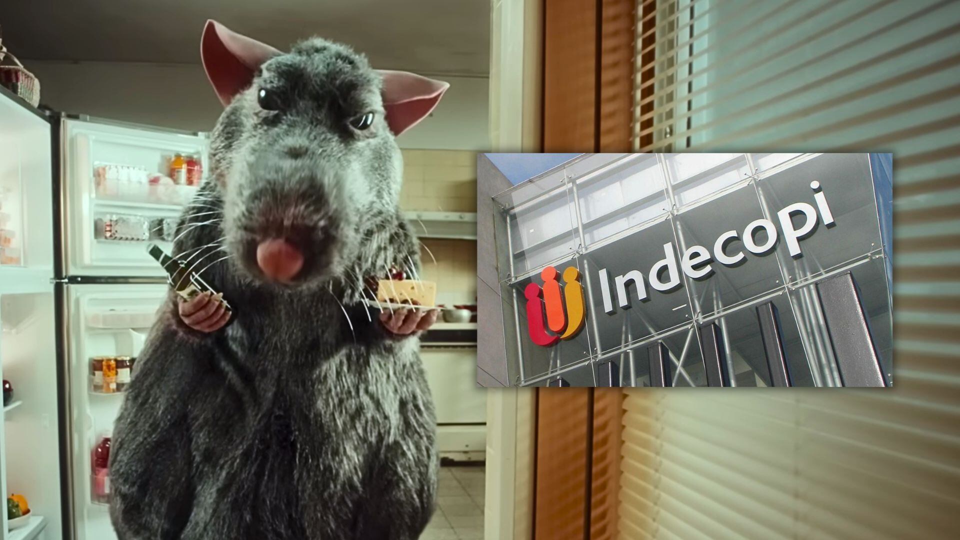 Rata del comercial de Win y captura de facha y logo de Indecopi