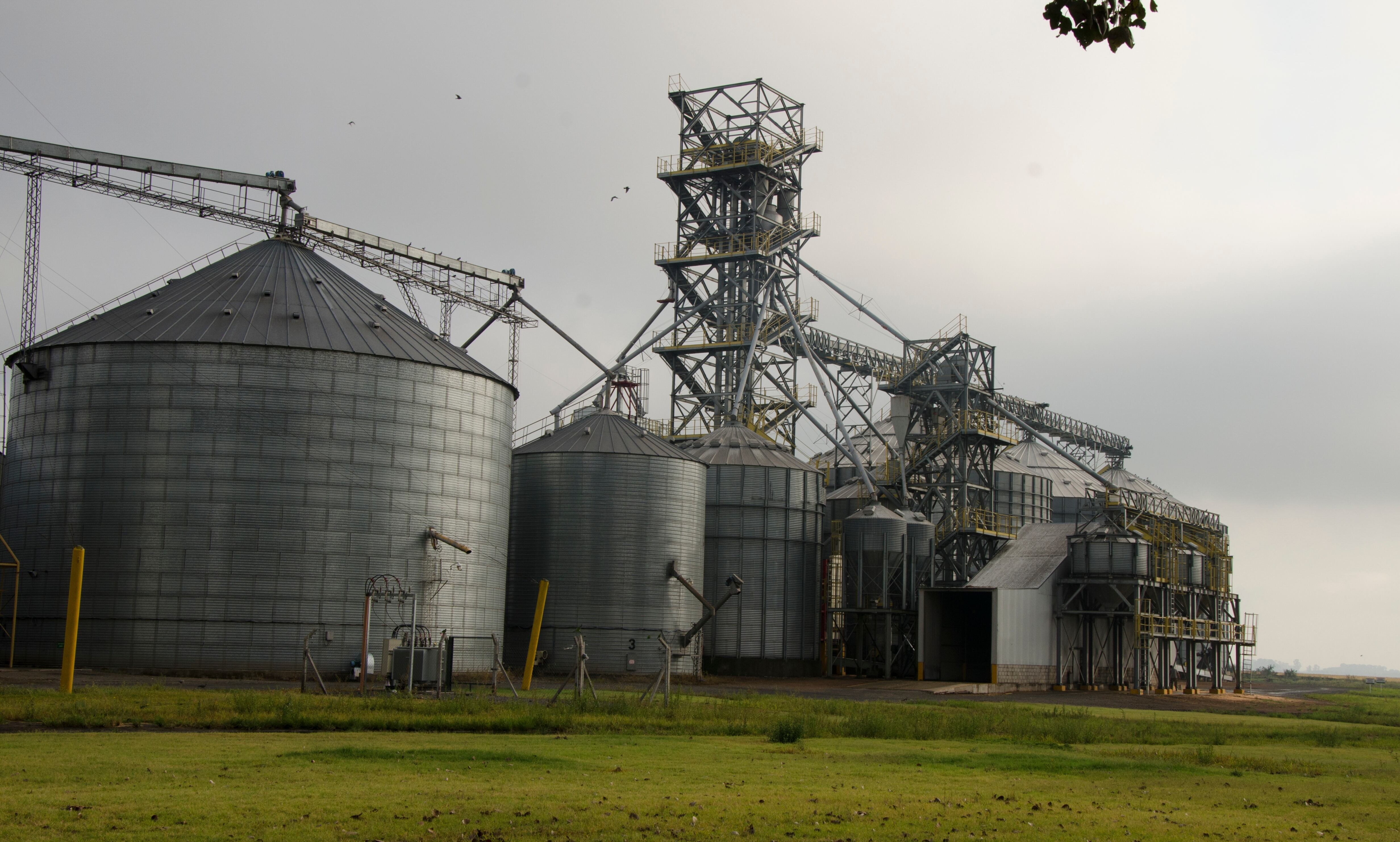 Agroexportación Argentina