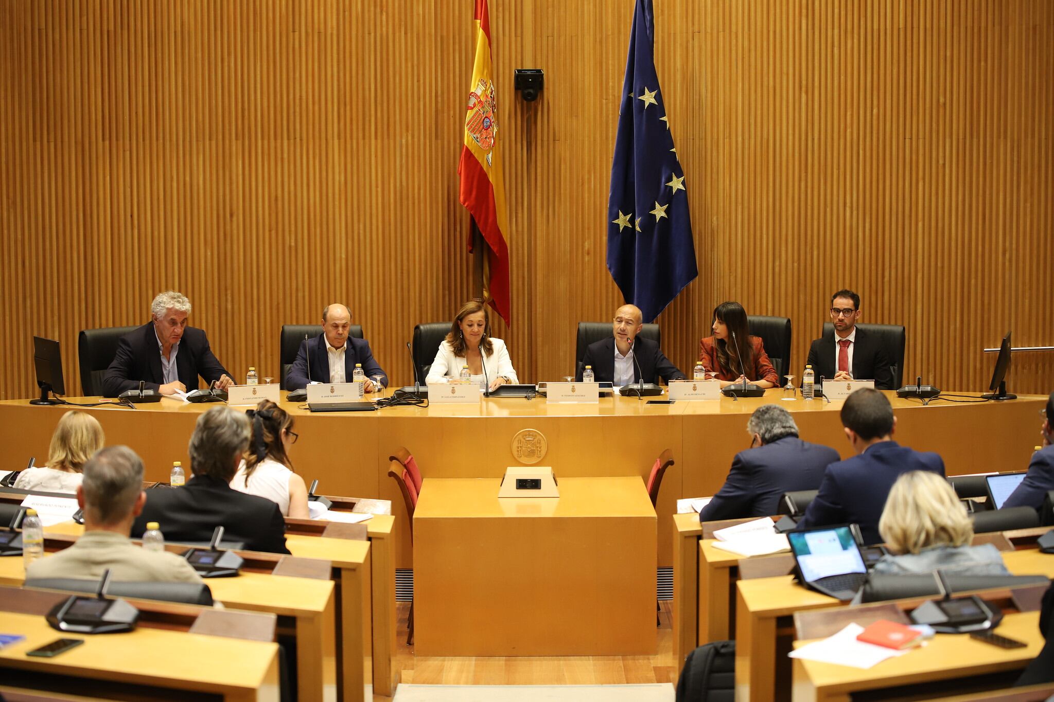 Almudena Cid, Álvaro Martín, Fernando Romay, José Rodríguez y Lola Fernández Ochoa en el Congreso. (Consejo Superior de Deportes)