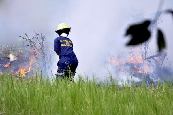 Los incendios forestales ponen en riesgo comunidades locales y el medio ambiente en múltiples departamentos de Colombia - crédito Colprensa