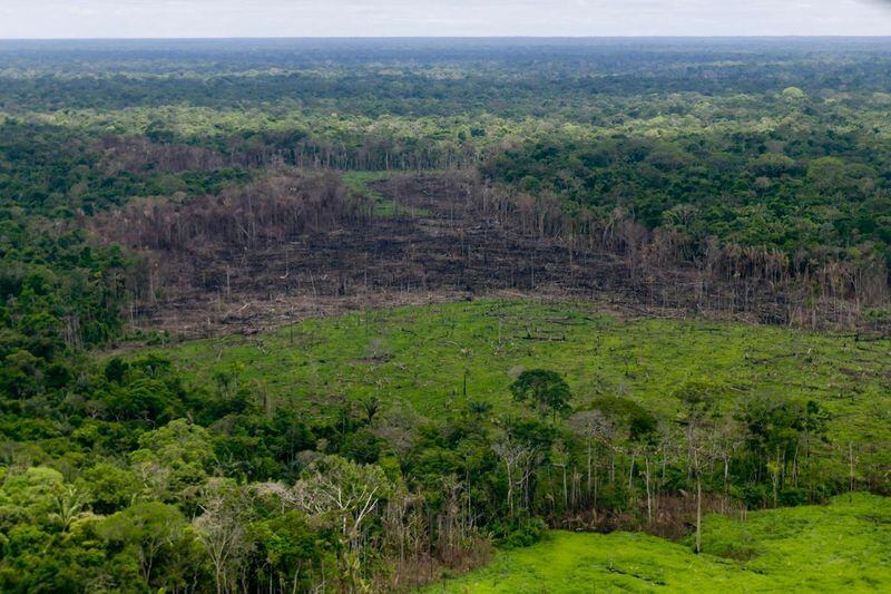 La Serranía del Chiribiquete estaría siendo ocupada ilegalmente por grupos armados como el Estado Mayor Central y la Segunda Marquetalia - crédito Presidencia de Colombia