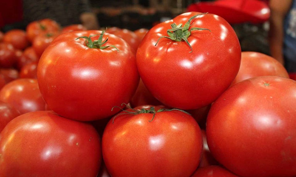 Así es como debes guardar los tomates para que duren más tiempo