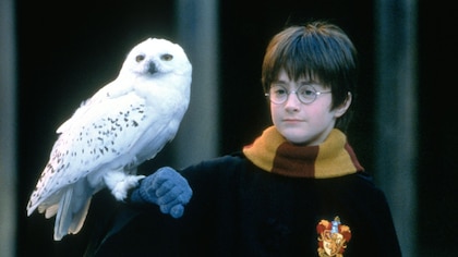 La serie de “Harry Potter” suma al equipo detrás de “Succession” y “Juego de tronos”