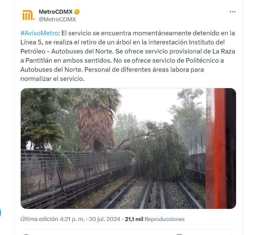 Línea 5 Metro CDMX árbol caída - 30 julio