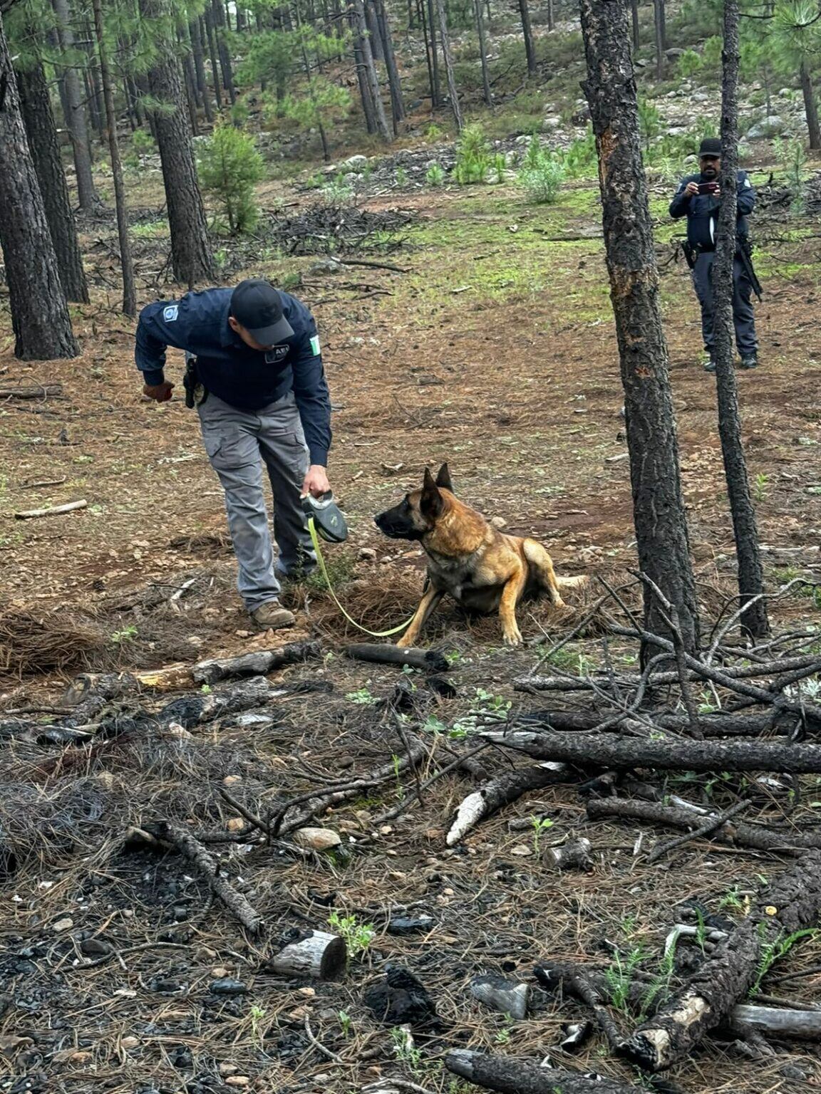 Fosa clandestina Chihuahua