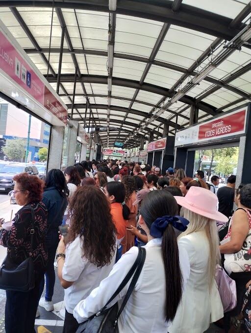 Estado en tiempo real de las diversas líneas de la red de transporte público terrestre.