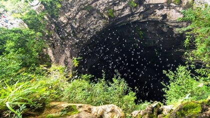 Así es el Sótano de las Golondrinas, la impresionante cueva que es una de las 13 maravillas naturales de México