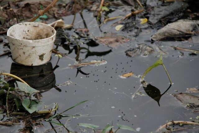 Mantener vacíos los recipientes y evitar que se formen represamientos de agua es fundamental  crédito Colprensa