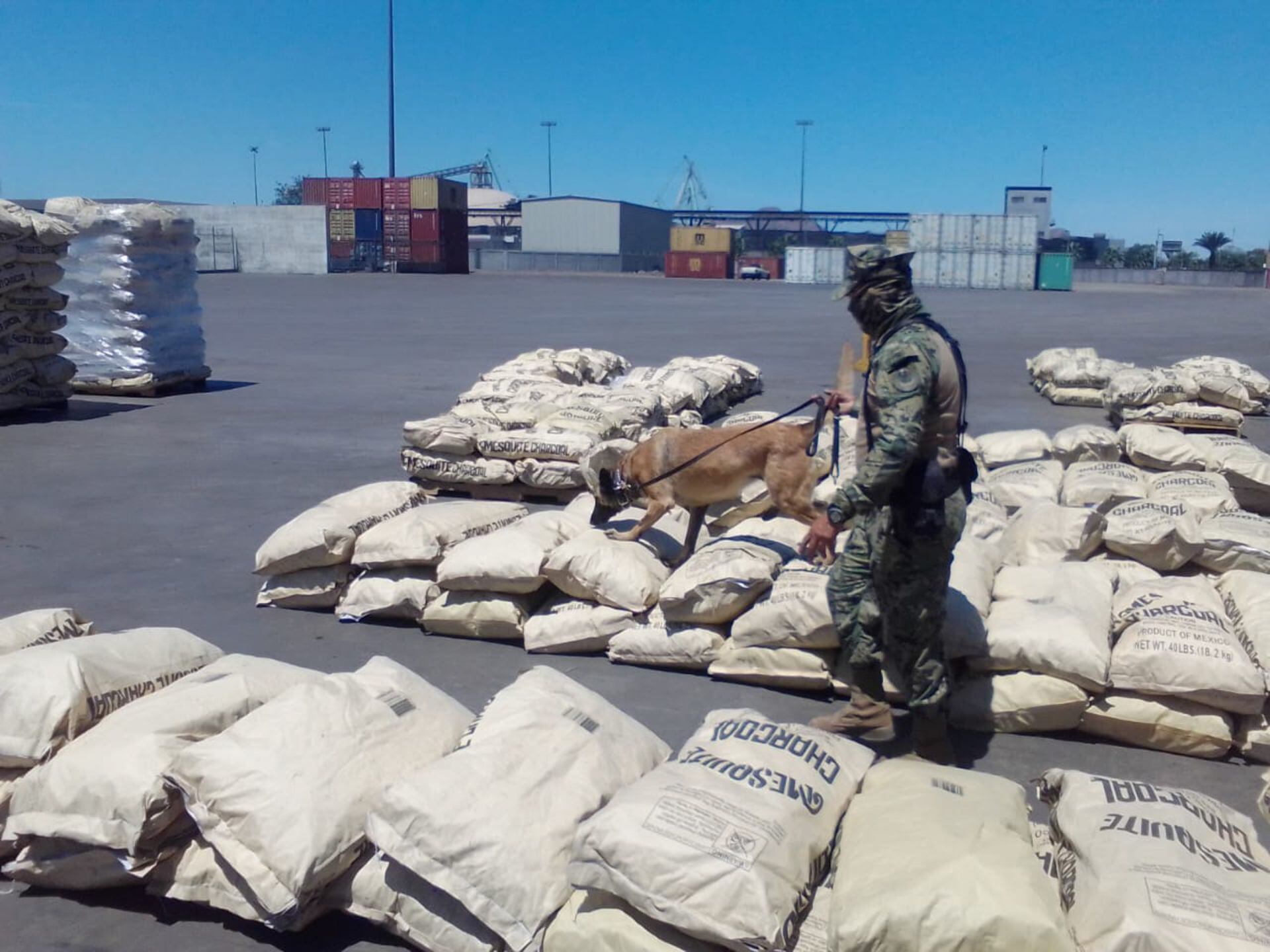 El Puerto Lázaro Cárdenas, en Michoacán, es la puerta de entrada a grandes cantidades de precursores químicos de Asia que aprovechan los cárteles mexicanos. (SEMAR/CUARTOSCURO)