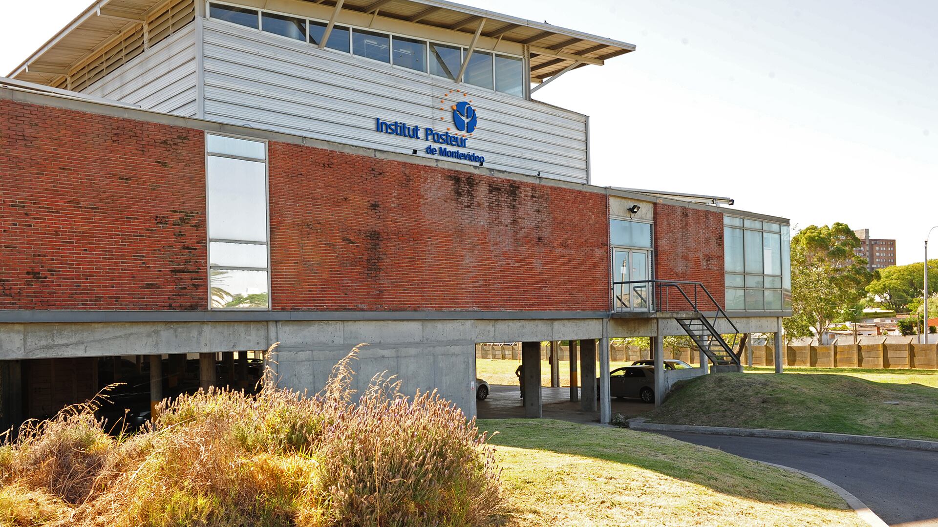 Institut Pasteur de Montevideo