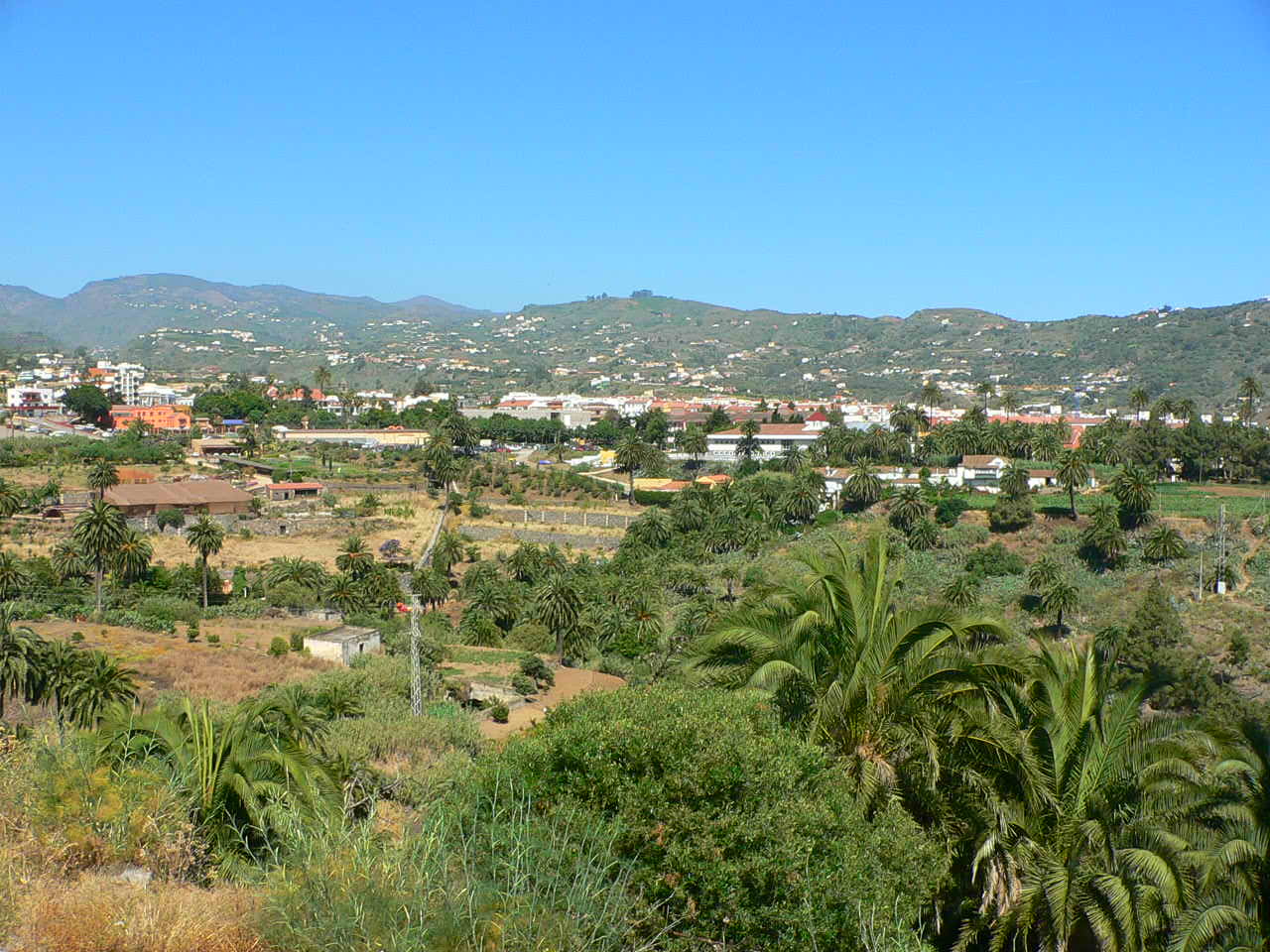 Imagen de Santa Brígida, en Las Palmas (Wikipedia)