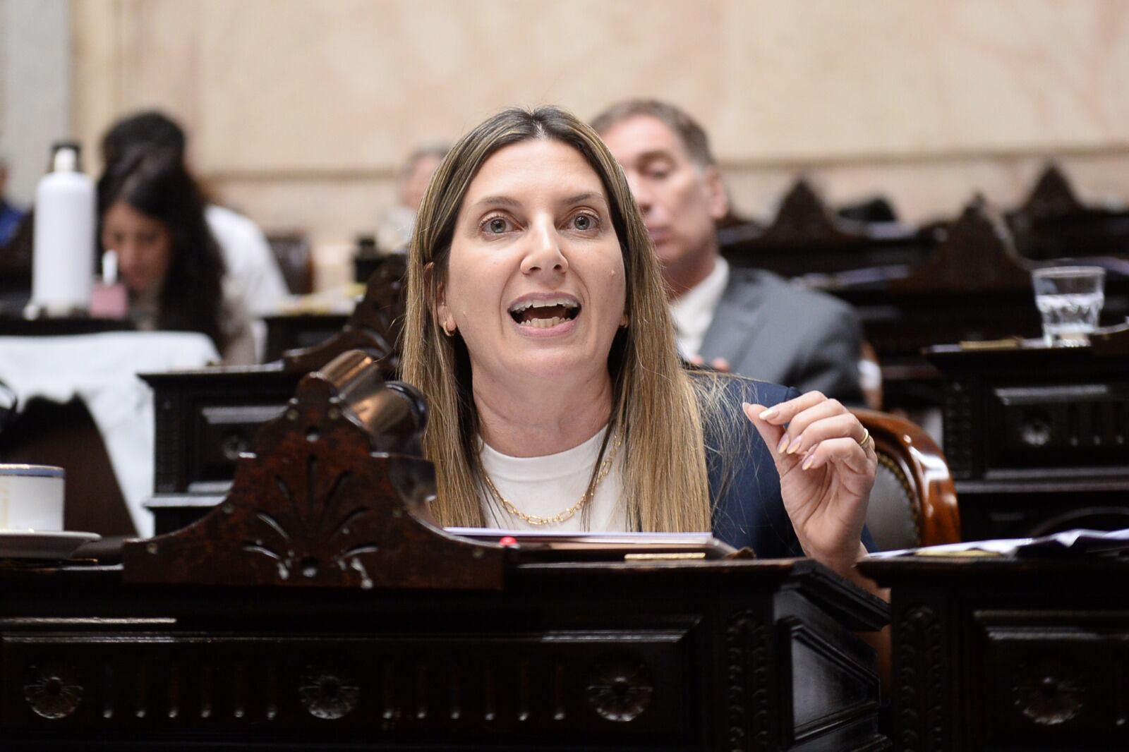 Silvia Lospennato, diputada del PRO