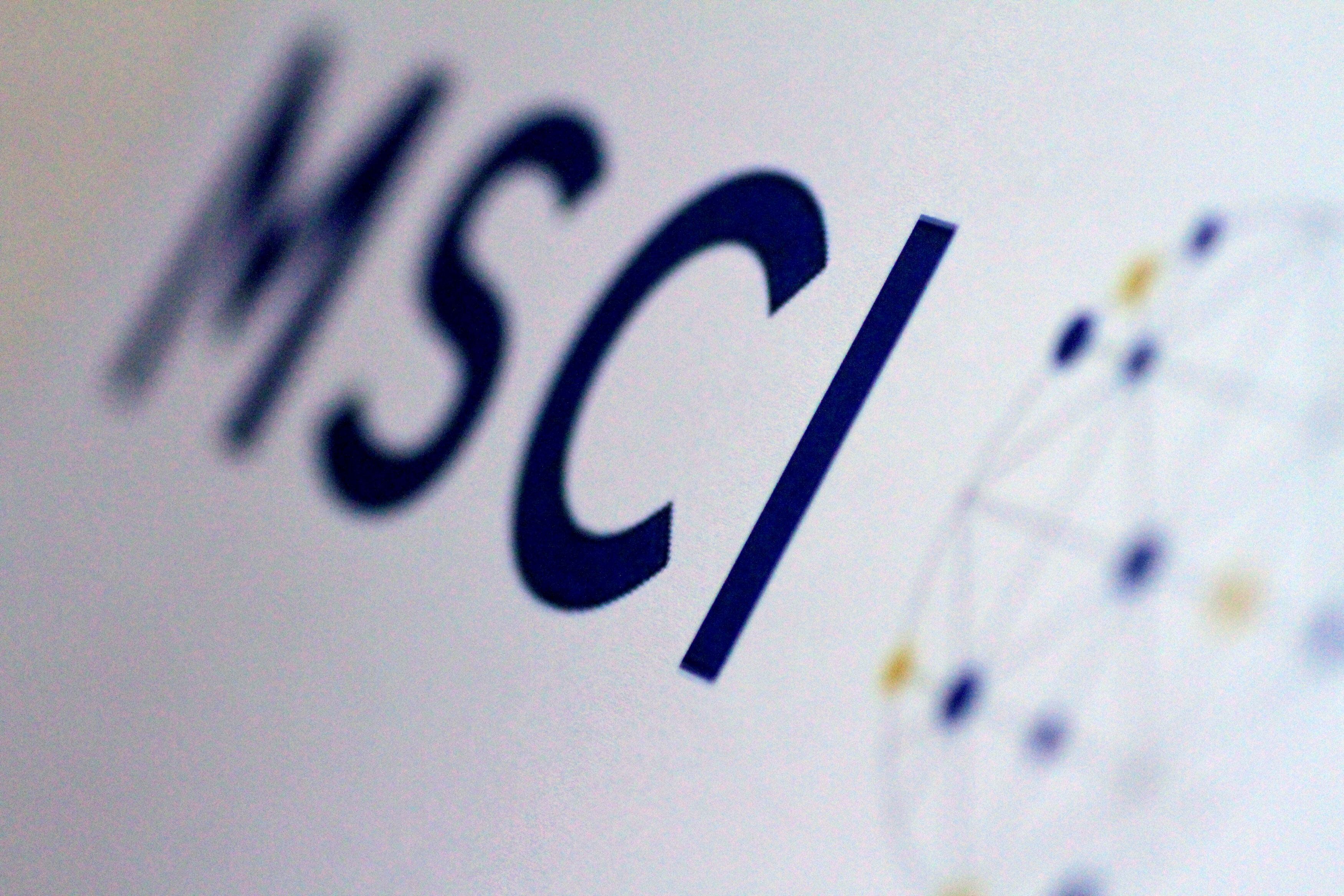 FILE PHOTO: The MSCI logo is seen in this June 20, 2017 illustration photo.      REUTERS/Thomas White/Illustration/File Photo