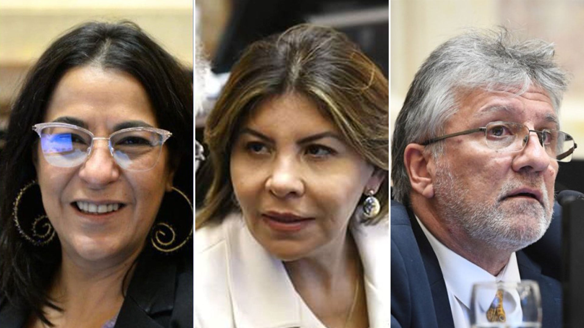 Ley Bases: revuelo en Unión por la Patria por tres senadores que votaron a favor del RIGI