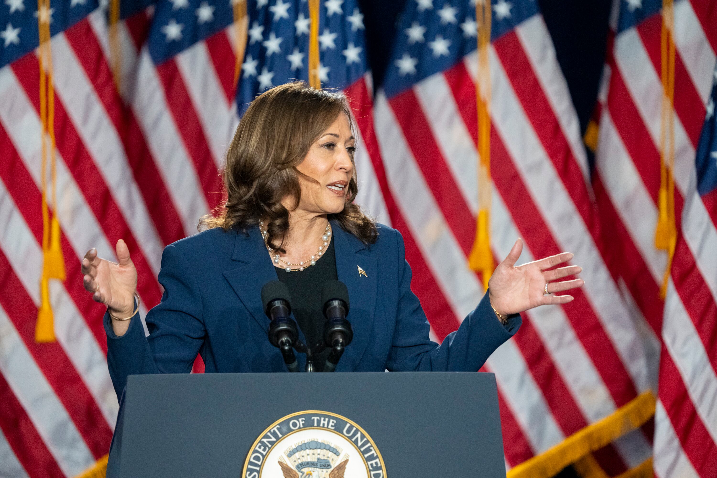 La vicepresidenta Kamala Harris hace campaña por la presidencia como posible candidata demócrata durante un acto en el West Allis Central High School el martes 23 de julio de 2024, en West Allis, Wisconsin. (AP Foto/Kayla Wolf)