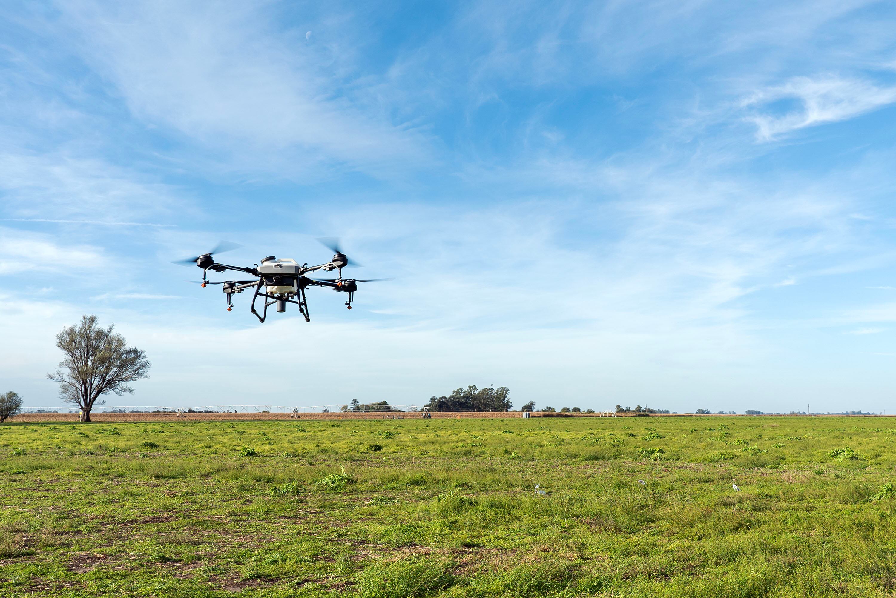 Drones campo - Cafase