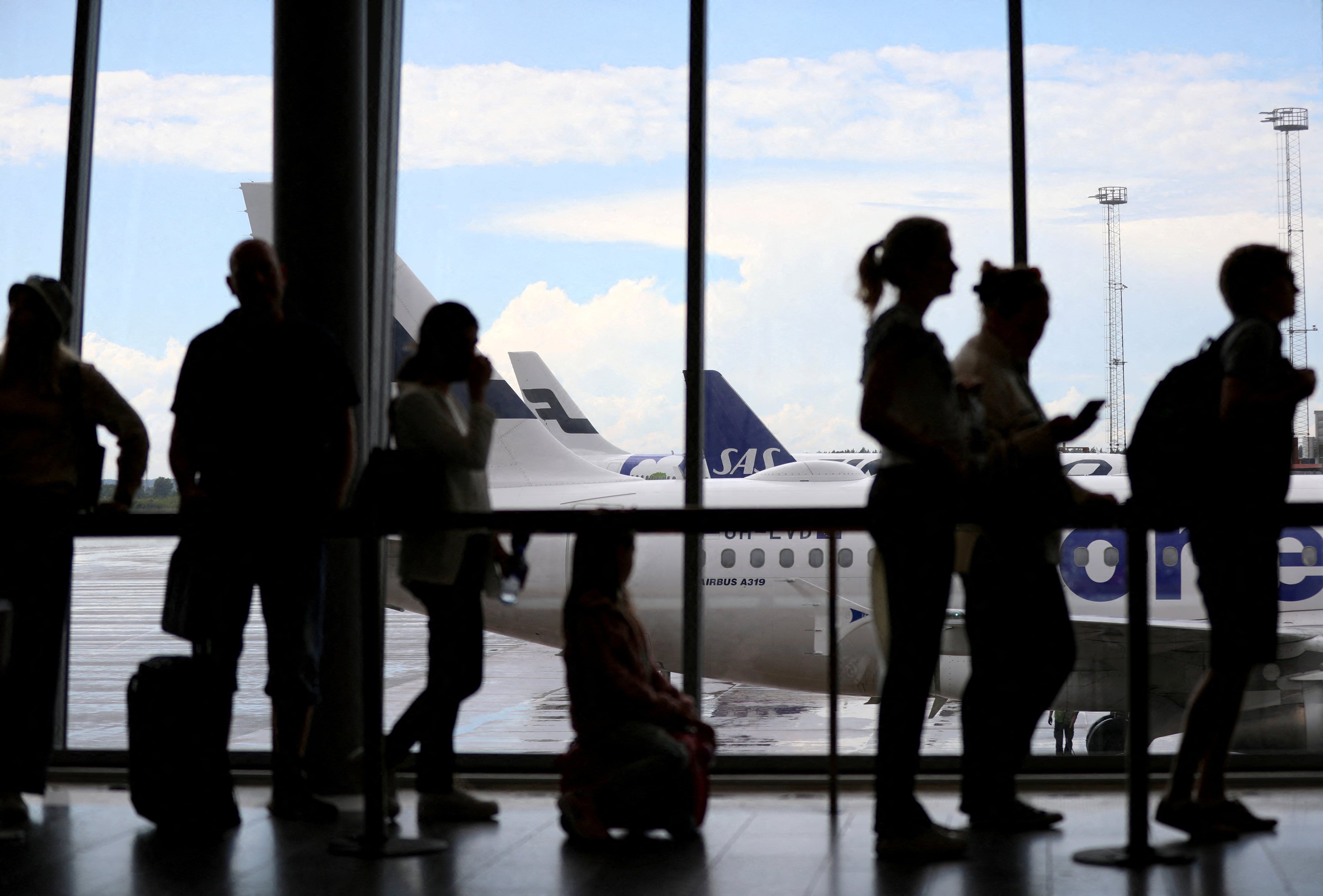 Los roedores pueden morder cables eléctricos y poner en riesgo la seguridad del vuelo. (TT News Agency/Ali Lorestani/REUTERS)