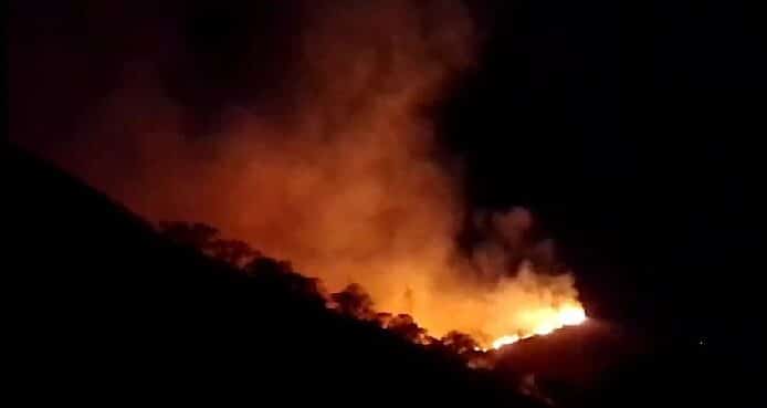 En incendio forestal en Cali, dos bomberos resultaron lesionados - crédito captura video.