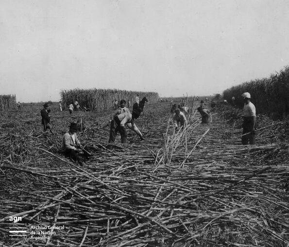 Peón de campo