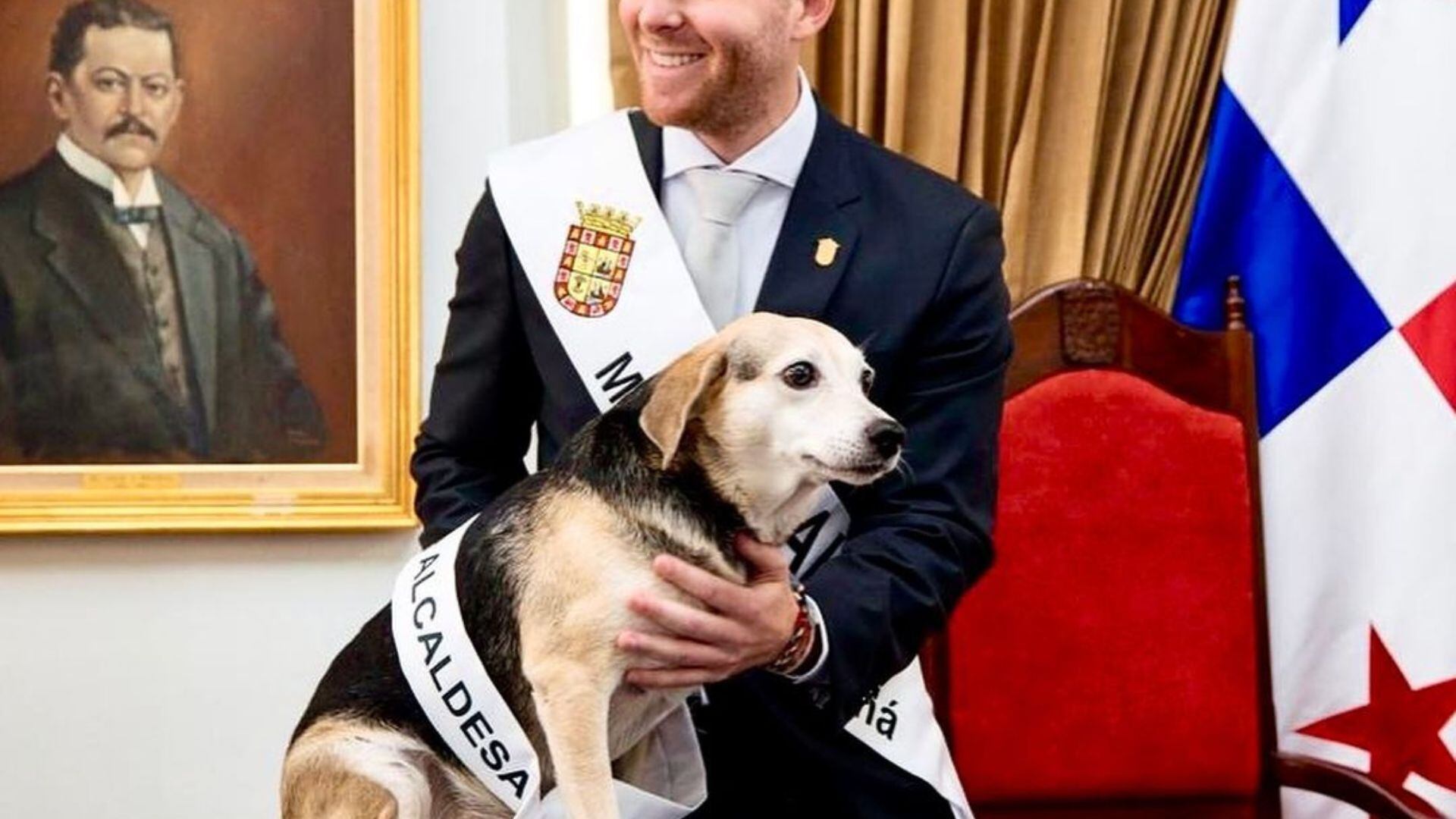 Tina es la mascota del alcalde de Panamá, Mayer Mizrachi. (Instagram/tinaquera)