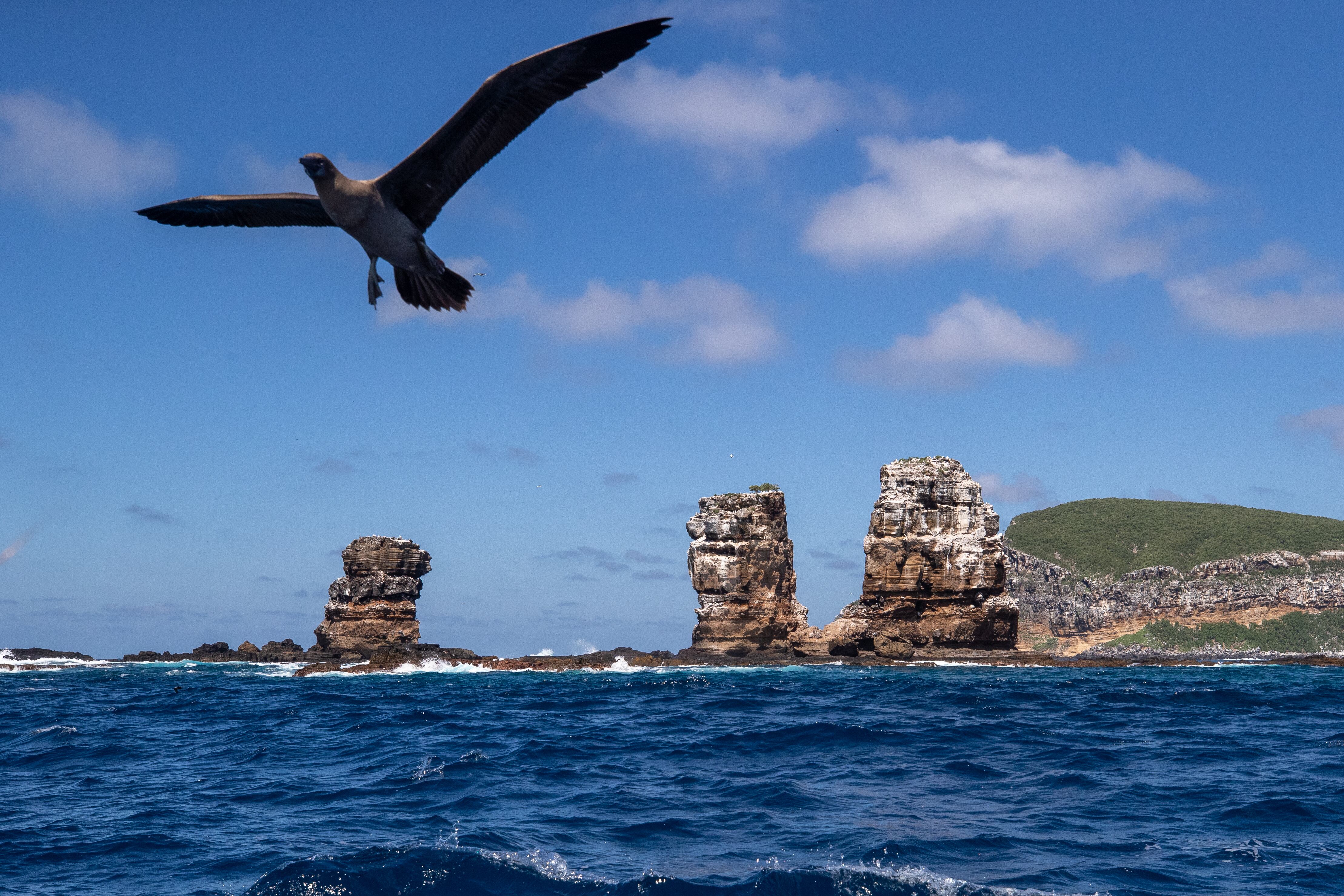 Las islas albergan especies únicas en el mundo. (EFE/José Jácome)
