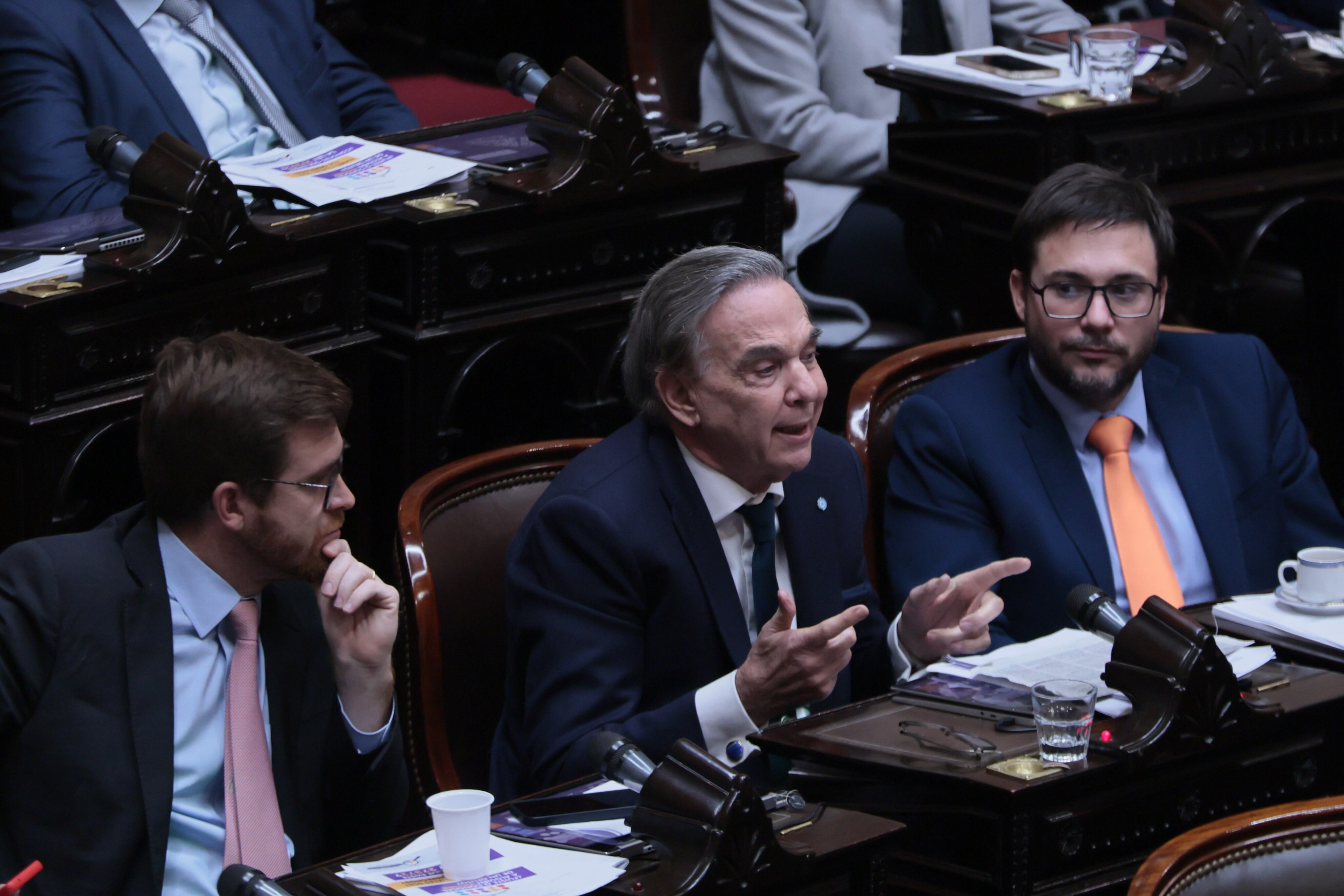 Debate Ley Bases - Diputados