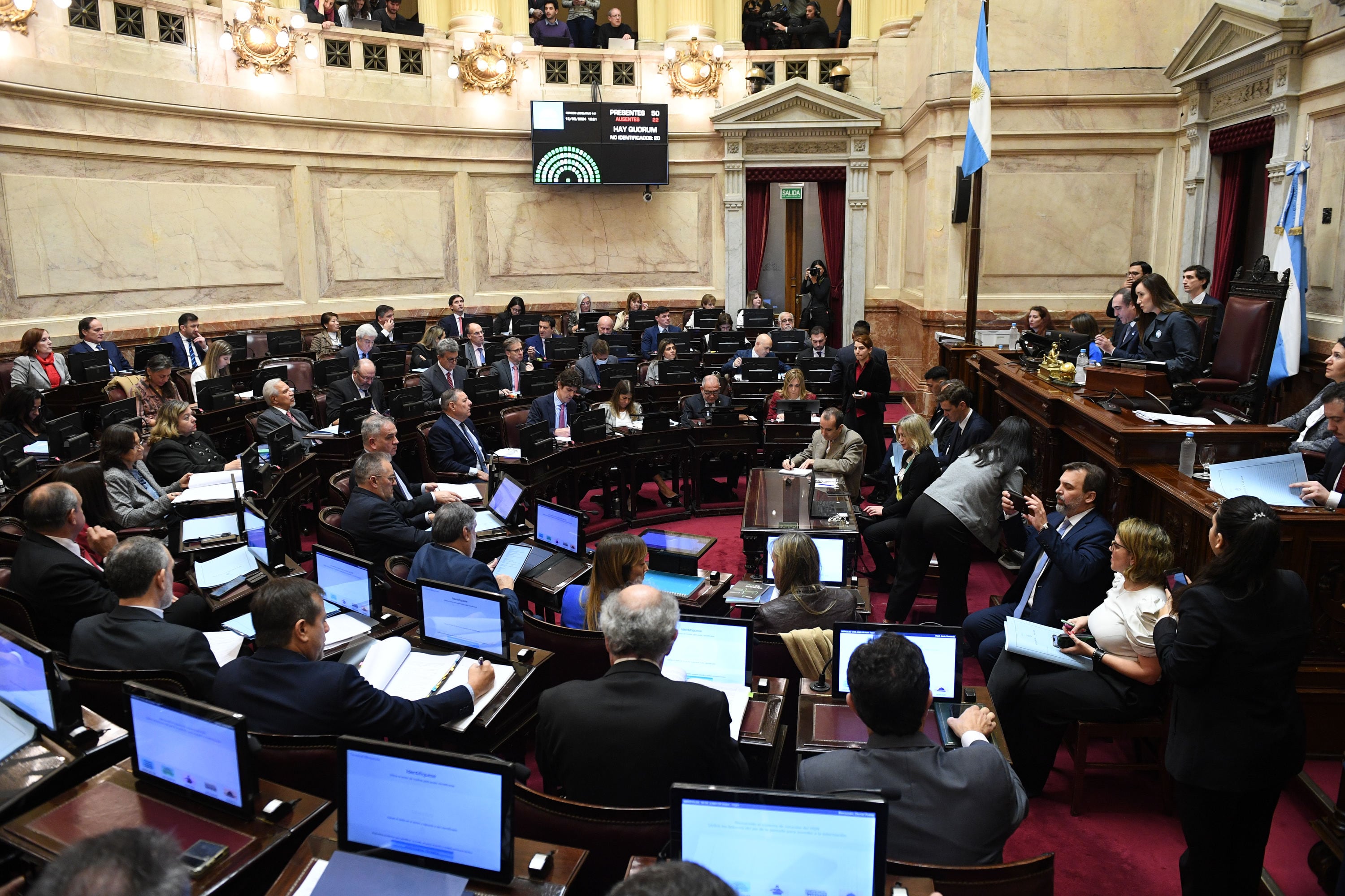 Debate Ley Bases en el Senado - 12.06.2024