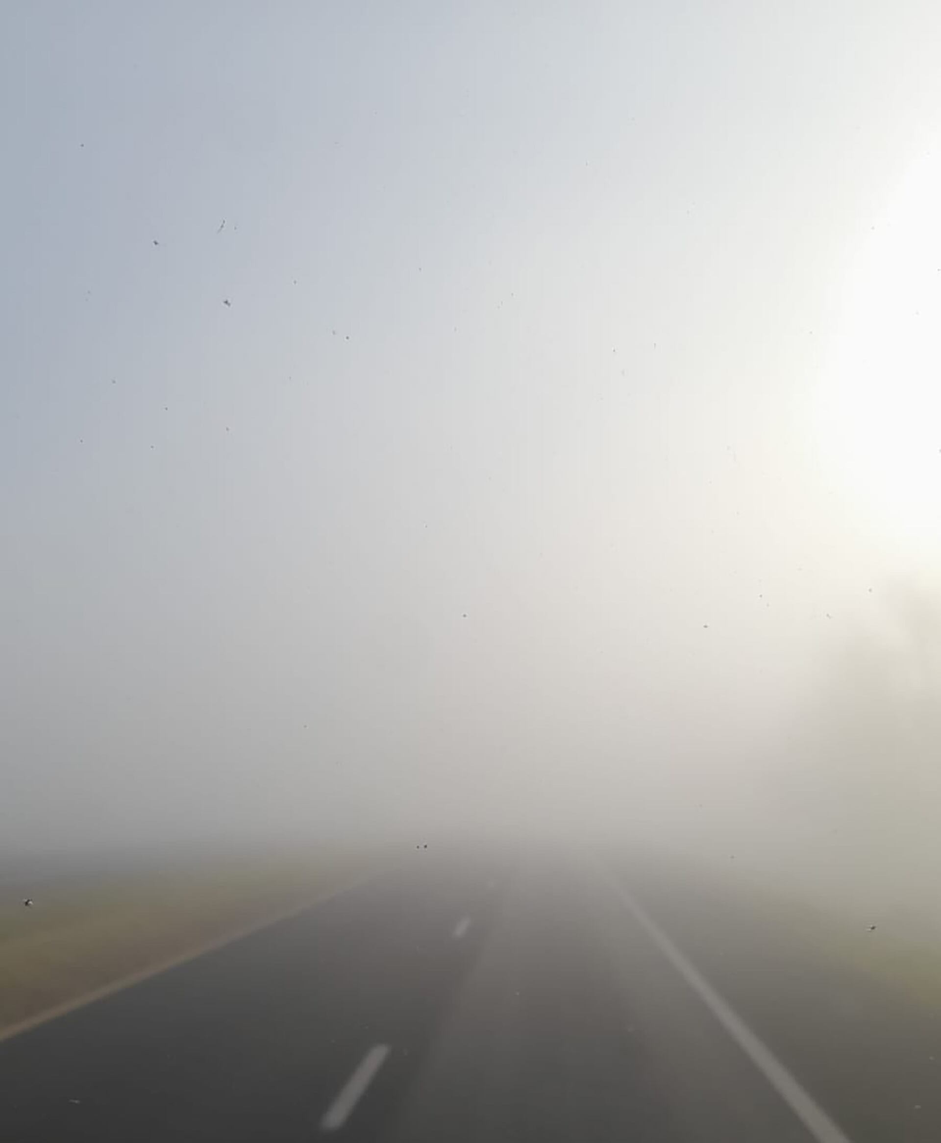 Niebla en Buenos Aires