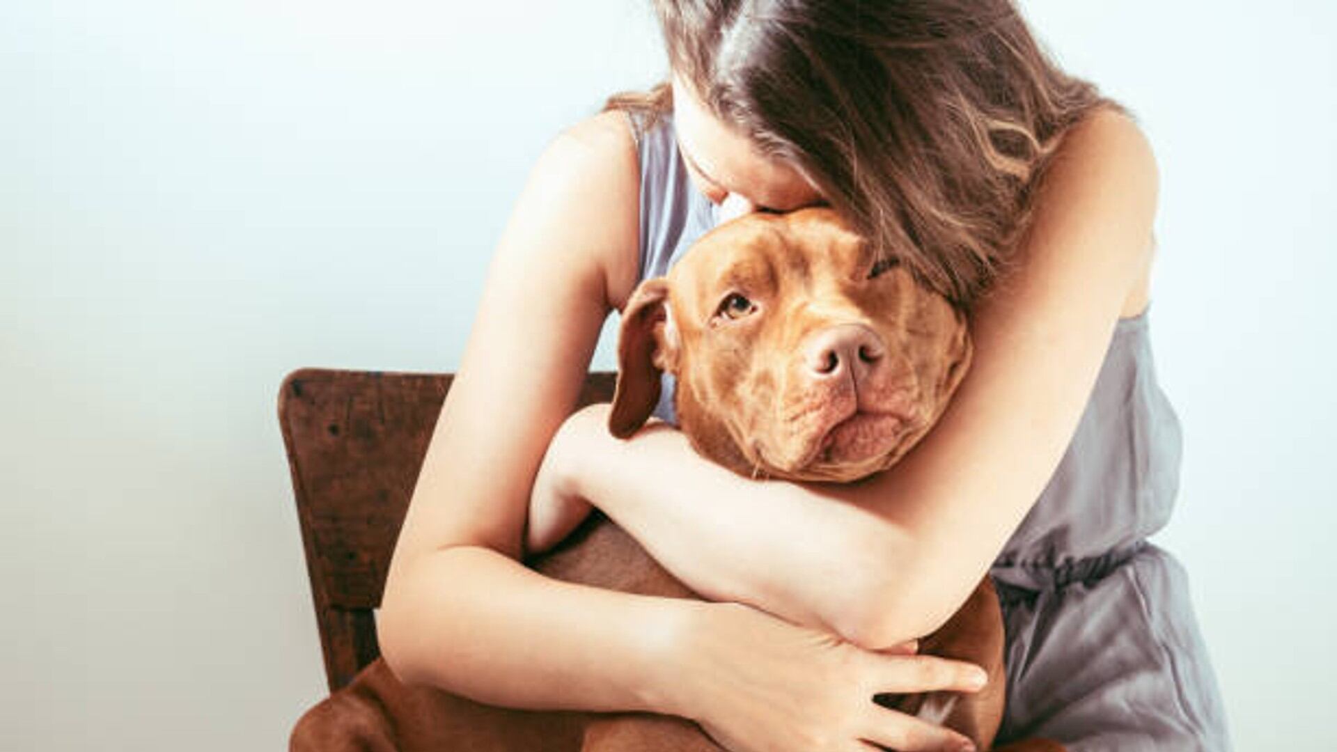 Secuestrar, maltratar o matar a la mascota de la pareja se ha convertido en otro tipo de violencia de género - crédito imagen de referencia / iStock