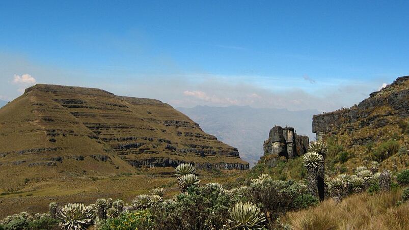 Este lugar es una de las reservas de frailejones en Colombia - crédito Colparques