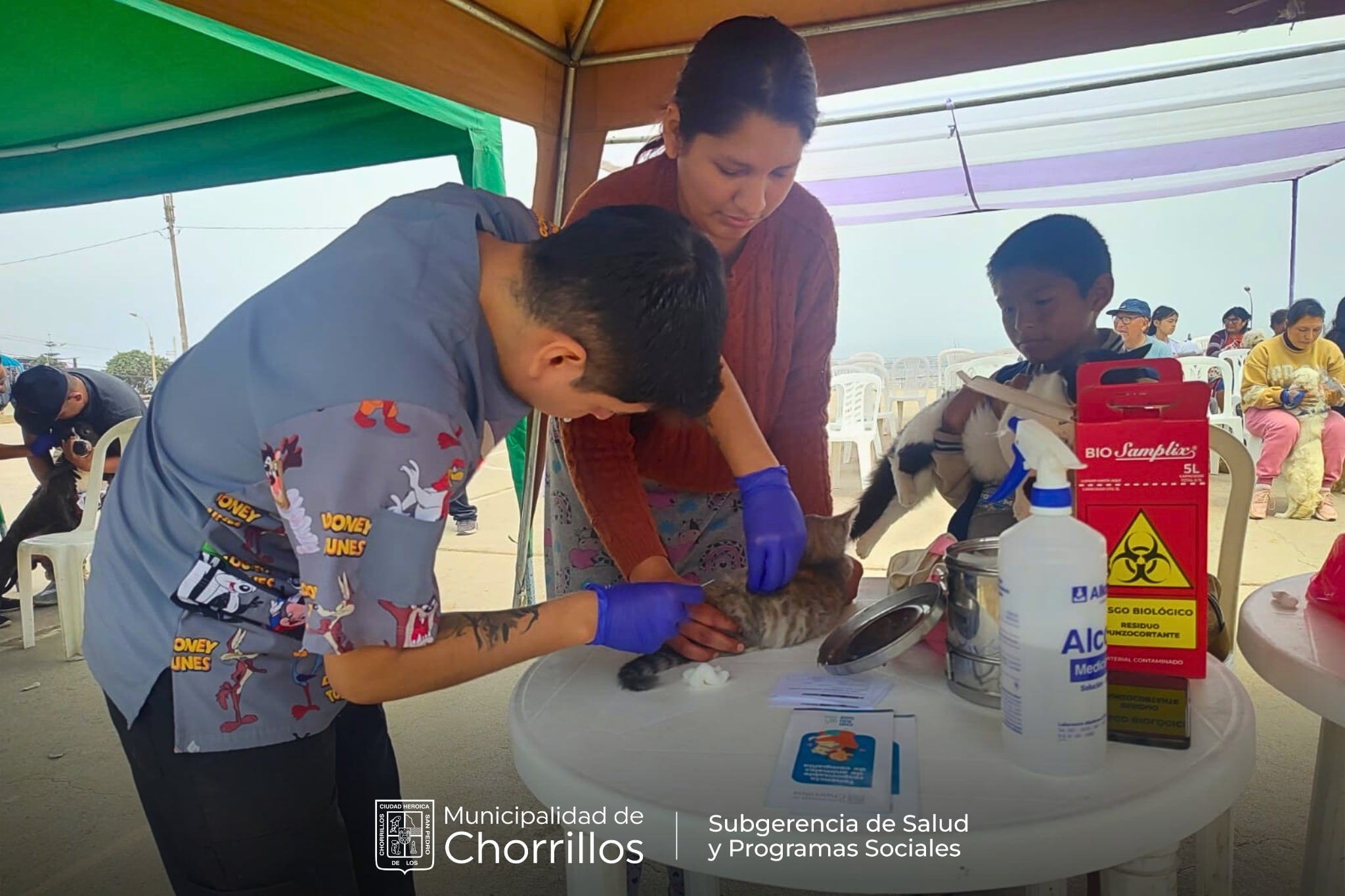 Campaña veterinaria en Chorrillos atendió a 150 mascotas. (Foto: Municipalidad de Chorrillos/ FB:@municipalidaddechorrillos)