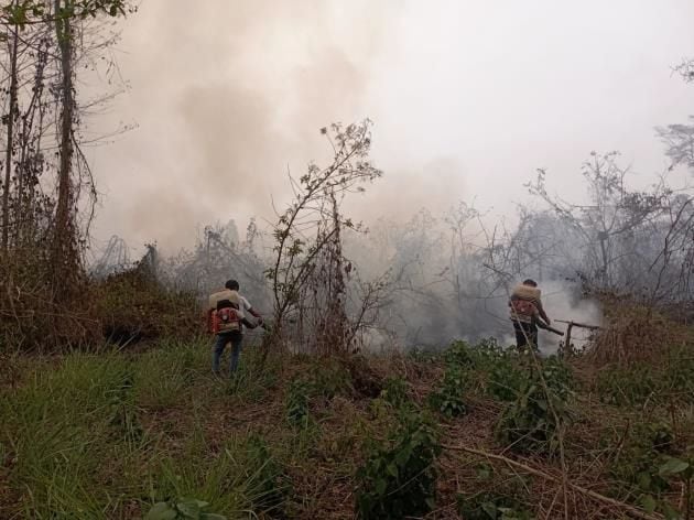 incendio forestal en peru