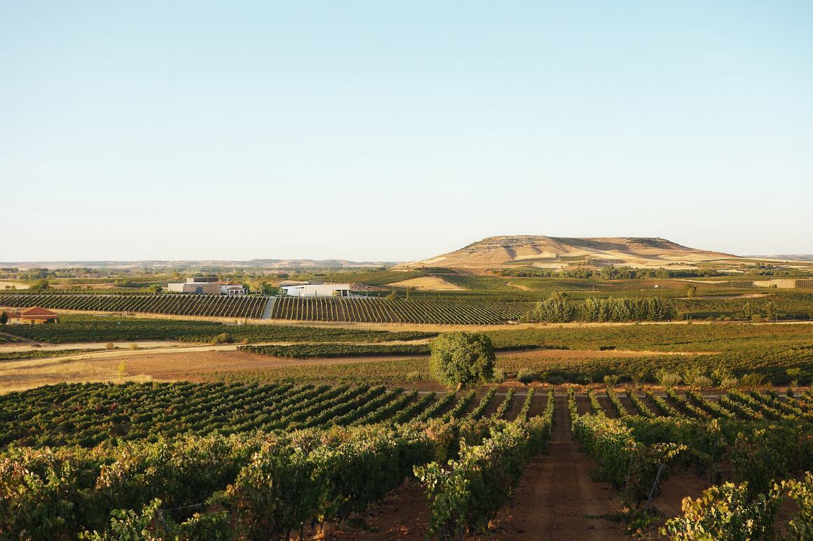 Bodega Pago de los Capellanes, en Pedrosa de Duero, el corazón de la Ribera del Duero burgalesa